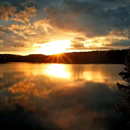 Hotel Romskog & - Unike