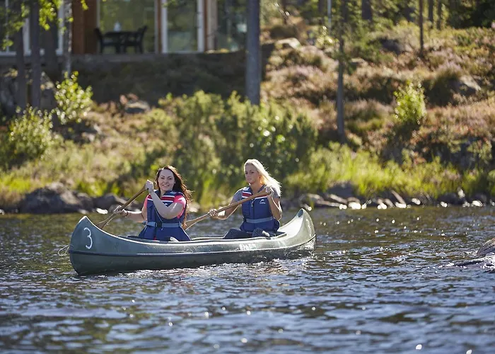 Romskog & - Unike Vortungen